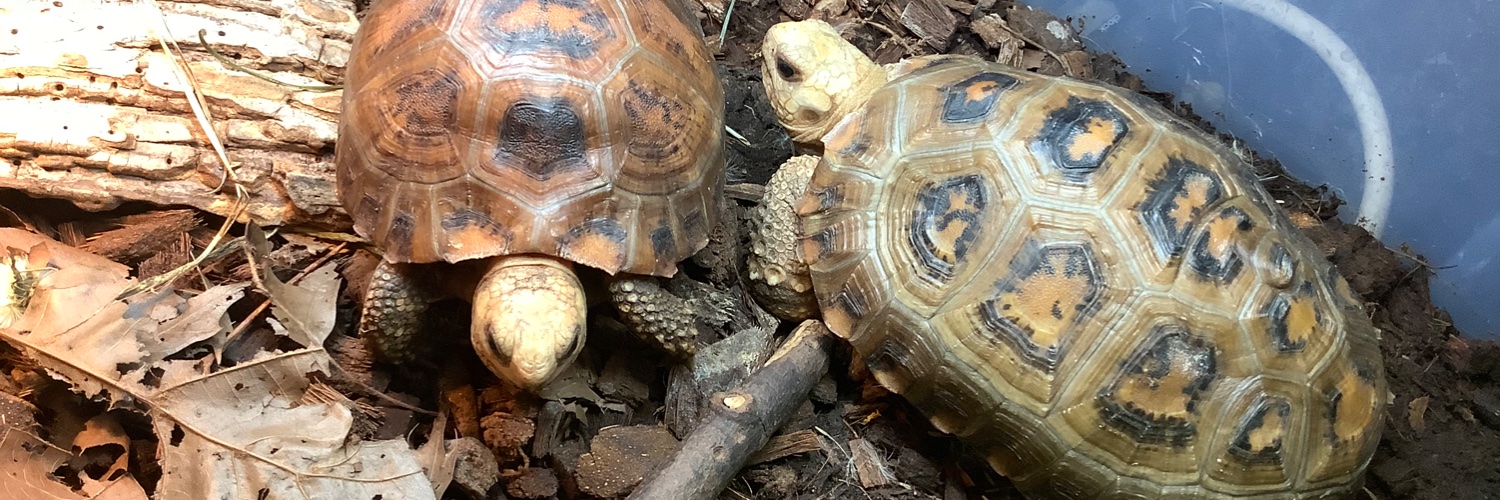 Methos Gaming Culture. banner