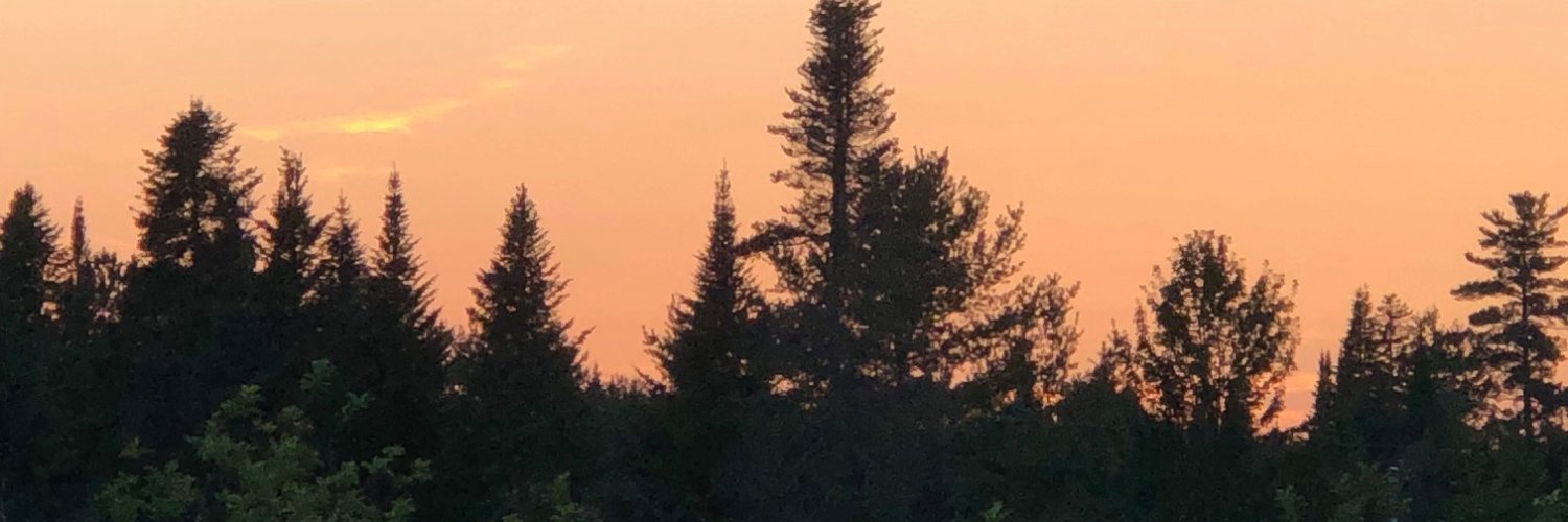 stephscheif67's profile banner image