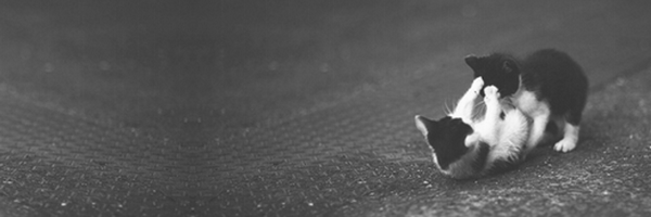 AbyssPearl Profile Banner