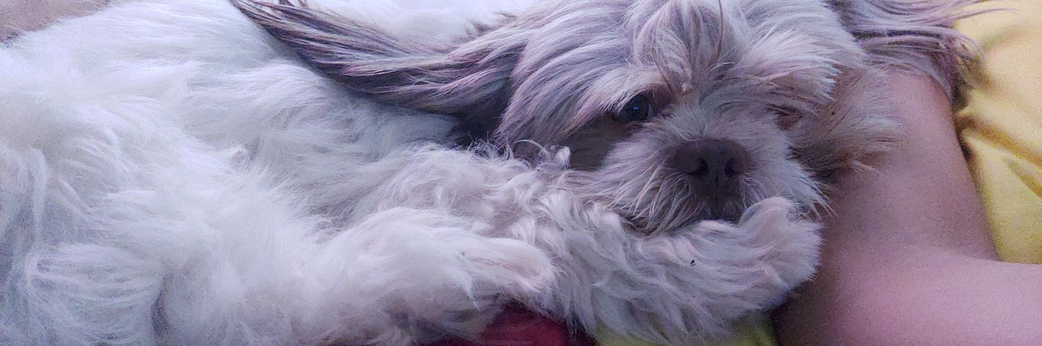 cammiepot's profile banner image