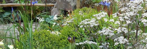 SE_Plant Profile Banner