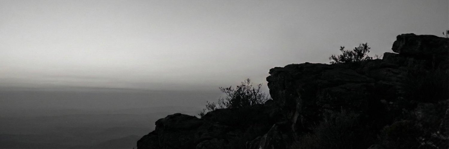 aaydarous's profile banner image