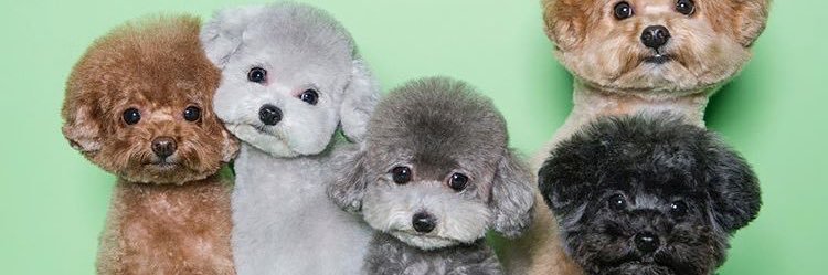 PerimErsalan's profile banner image