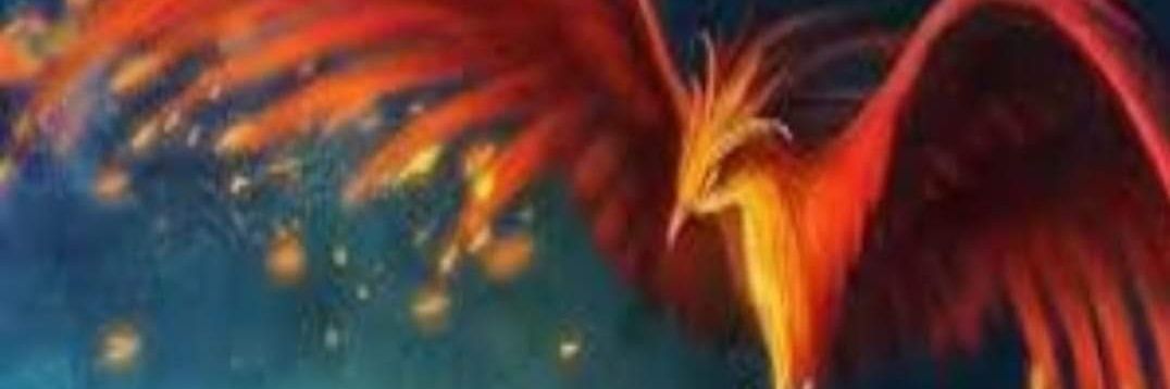 AngelicaLaterza's profile banner image