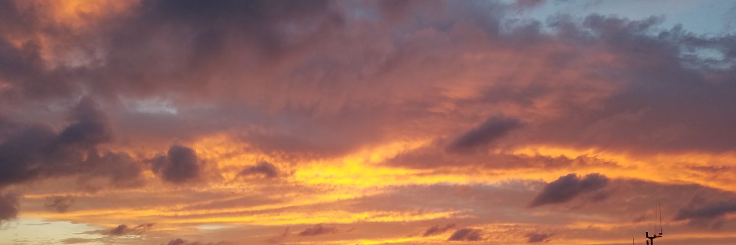 kjohnsonsusko's profile banner image