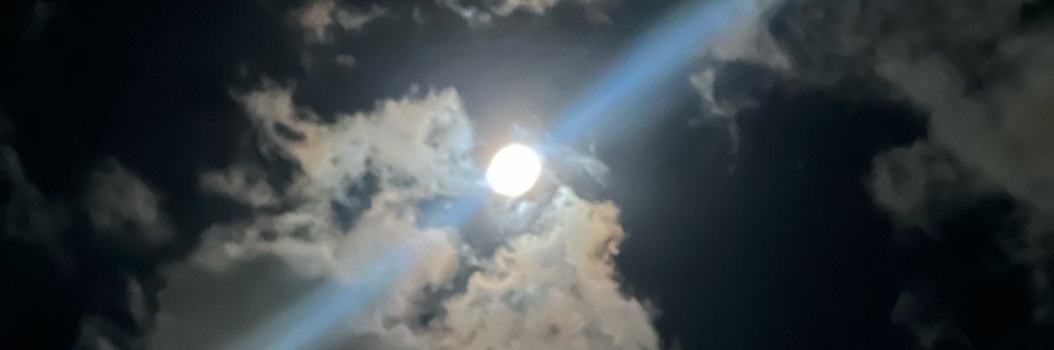 D G N S Z N banner