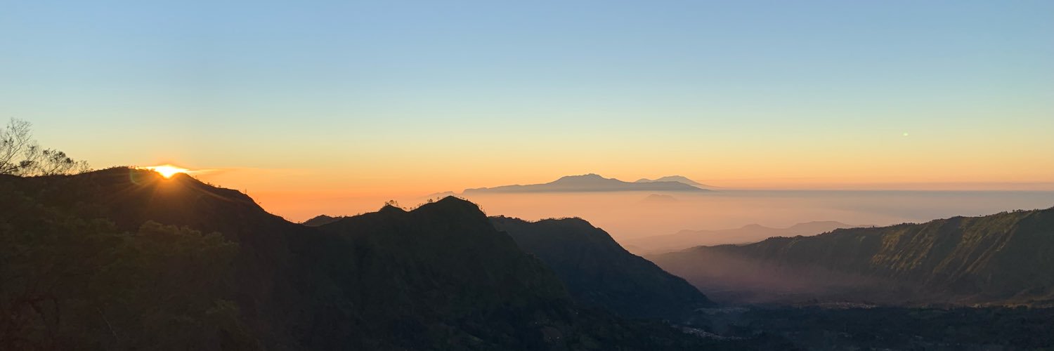 max andreetta banner