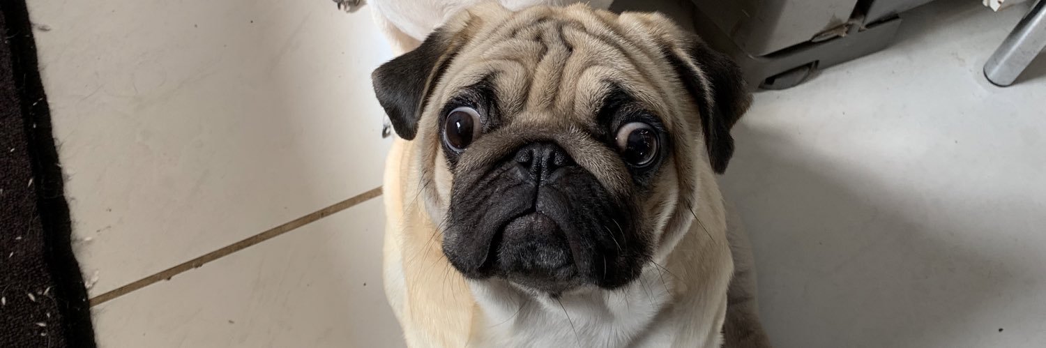 anarafagarcez's profile banner image
