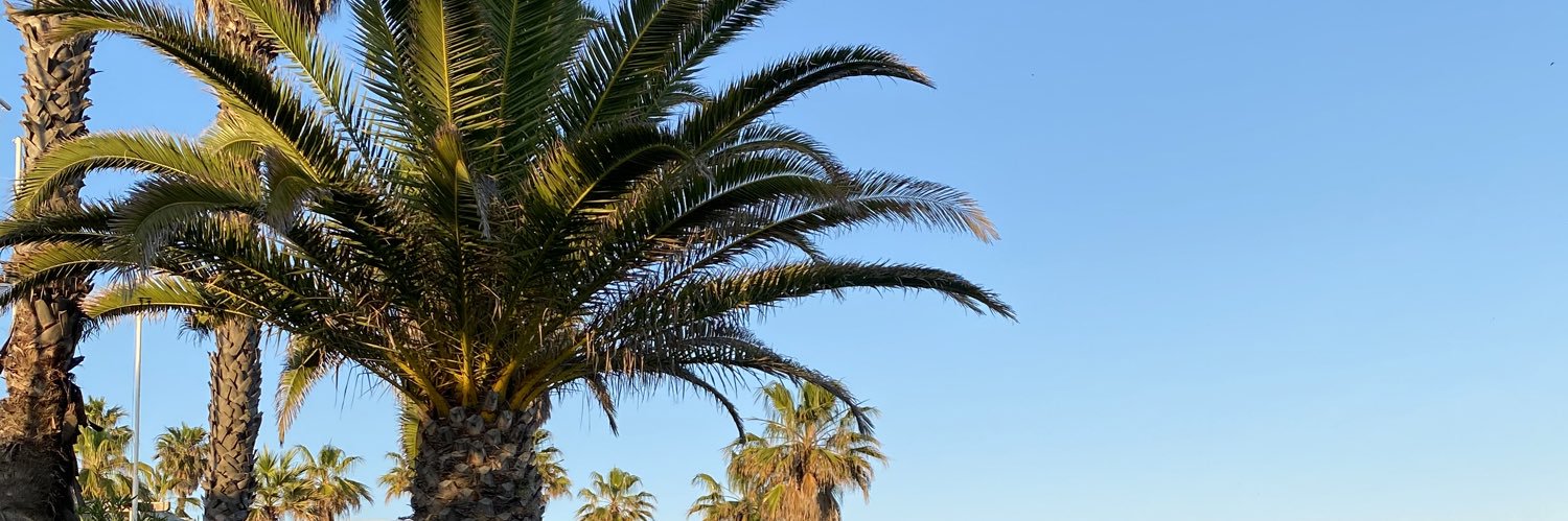 riitamlopes's profile banner image