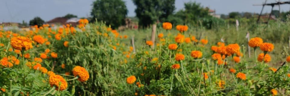 GadgilRohit's profile banner image