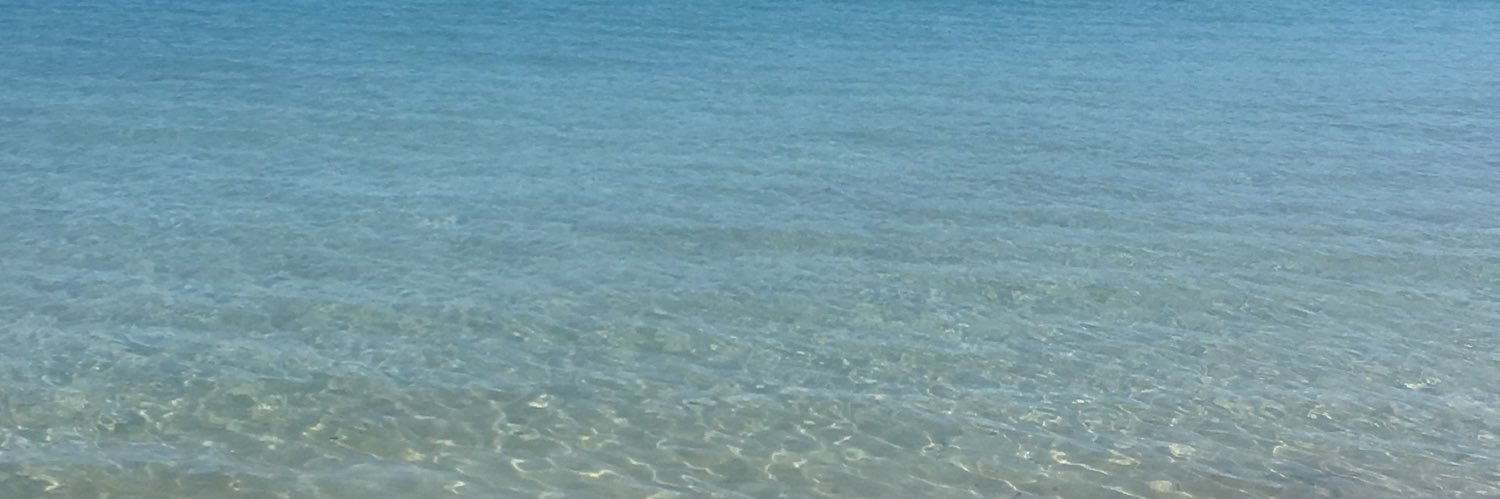 Jose Ramón RBorbolla banner