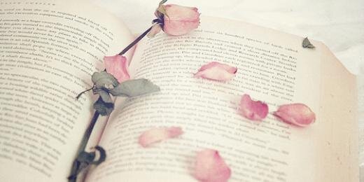 LCB_TL's profile banner image