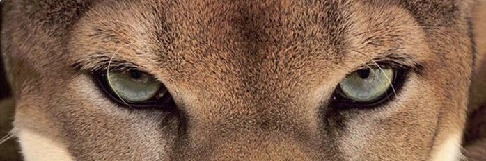 TrkerHelvac's profile banner image