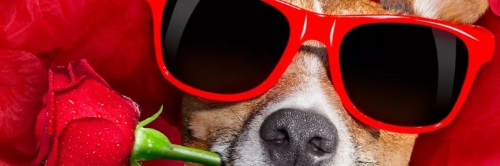 dheykith's profile banner image