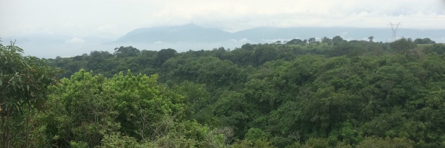 Beruvan91's profile banner image