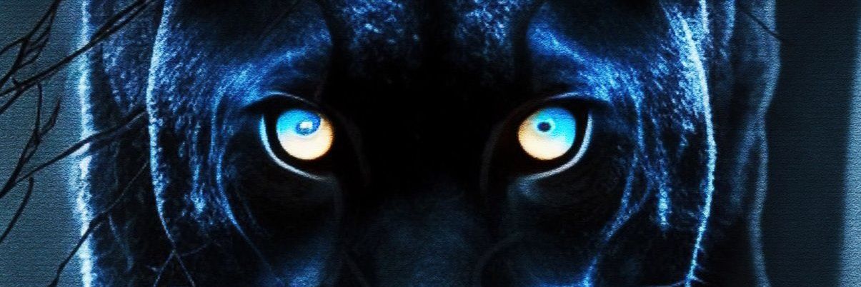 Yasmustapha's profile banner image