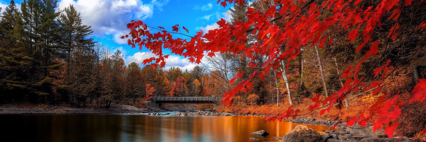 Álvaro López banner