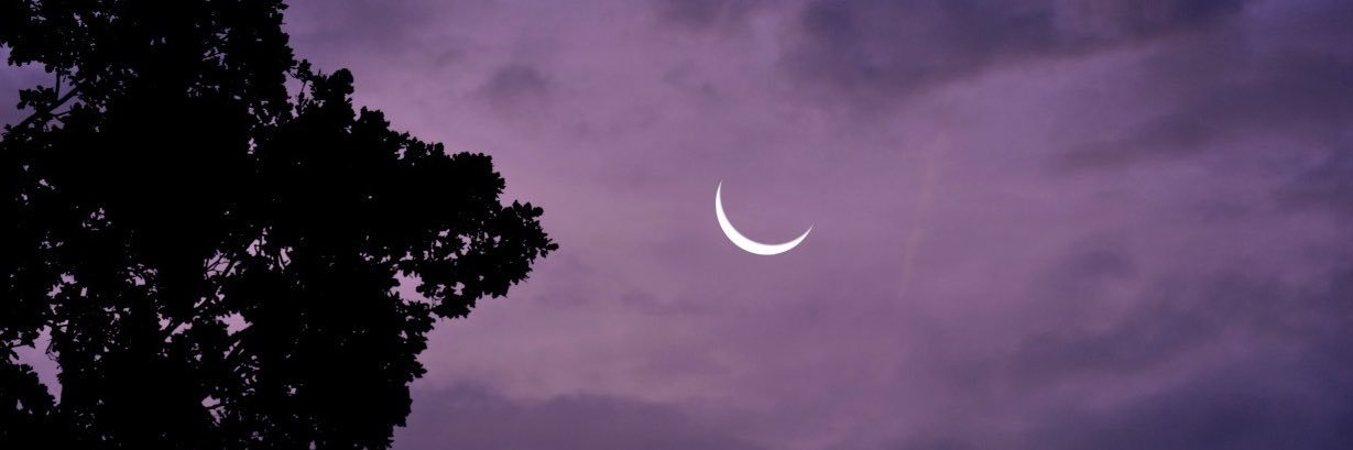 redlovett's profile banner image
