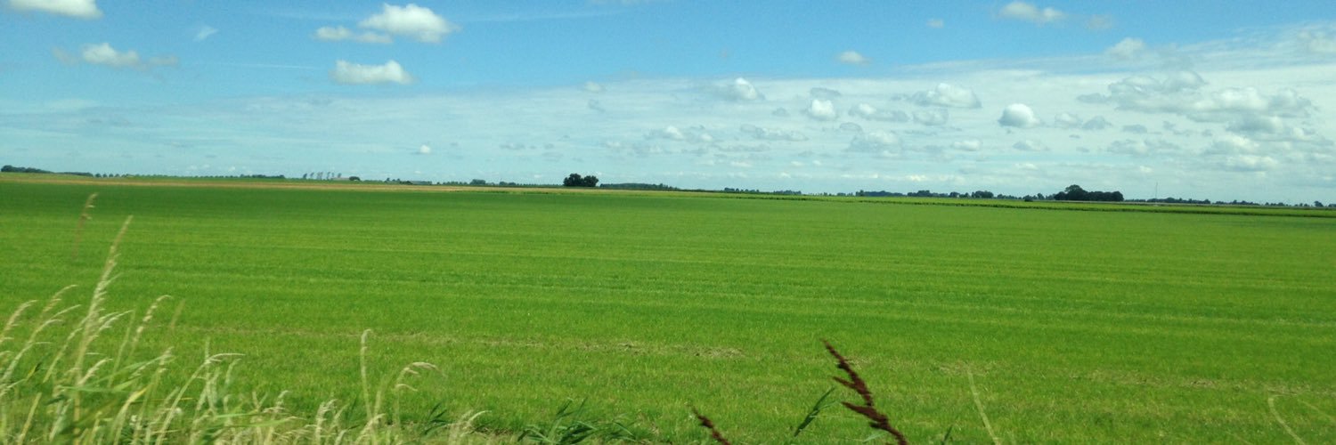 MartiniGrunn's profile banner image