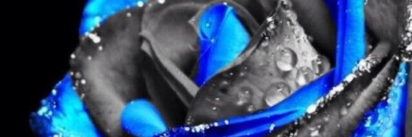 TurkiiHD Profile Banner