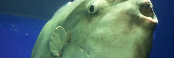 replu5 Profile Banner