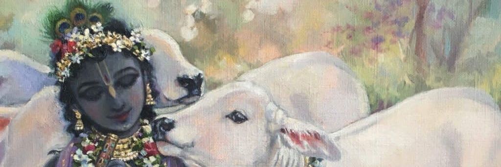 veertur's profile banner image