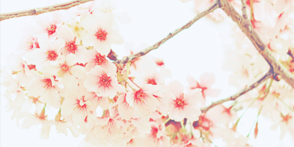 ทิปเพอร์เฟ็ค banner