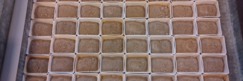 cse_soil's profile banner image