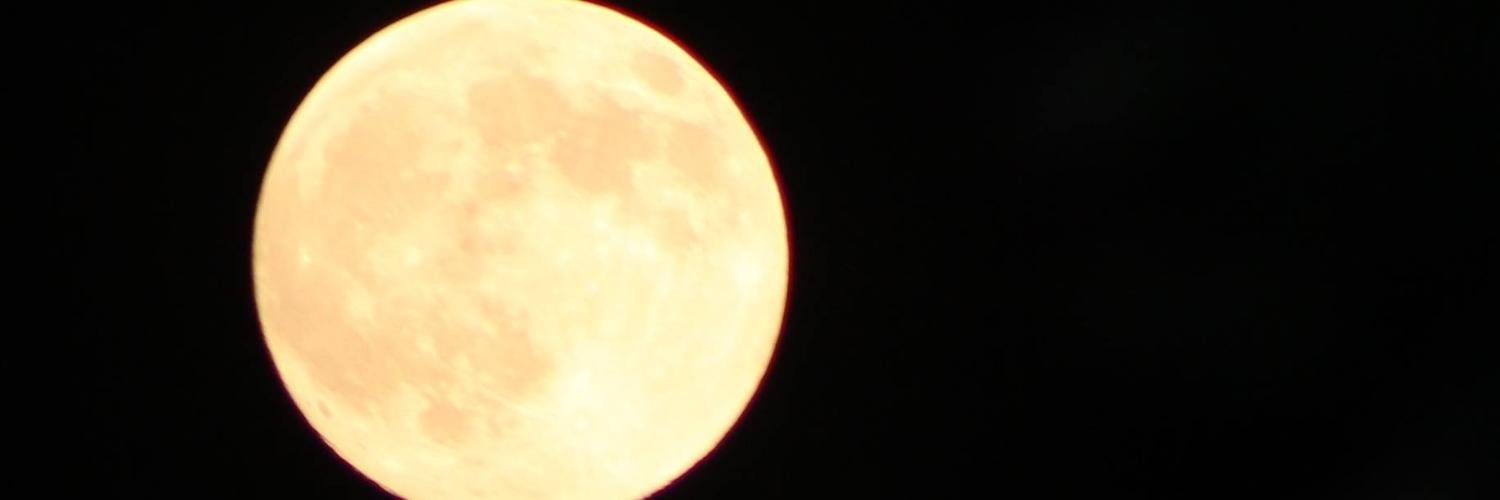 BuffaloMoonbeam's profile banner image