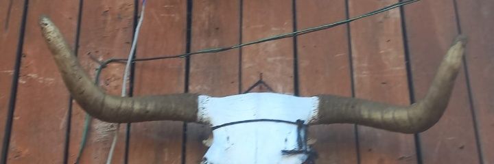 TitoArieltw's profile banner image