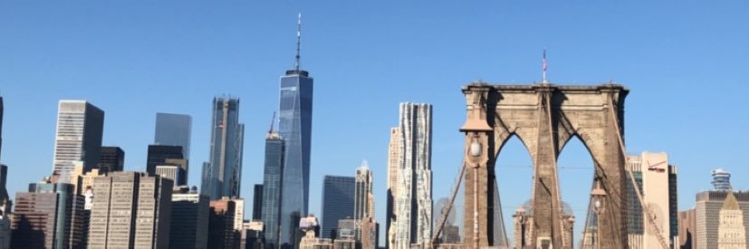 jenholdman's profile banner image