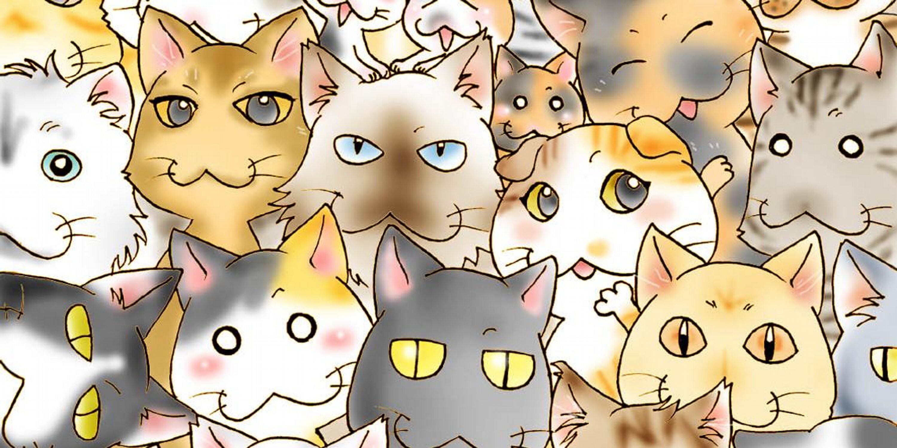 shockcat_bot's profile banner image
