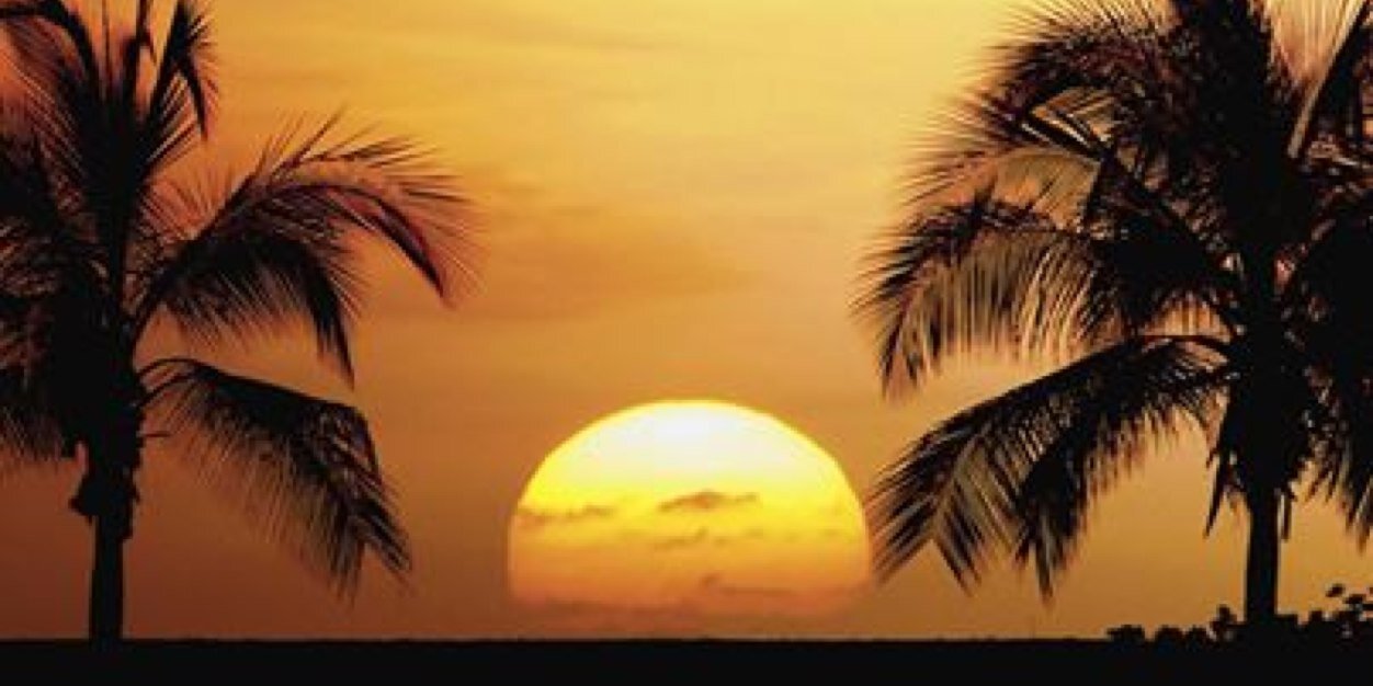 LSMacieo's profile banner image