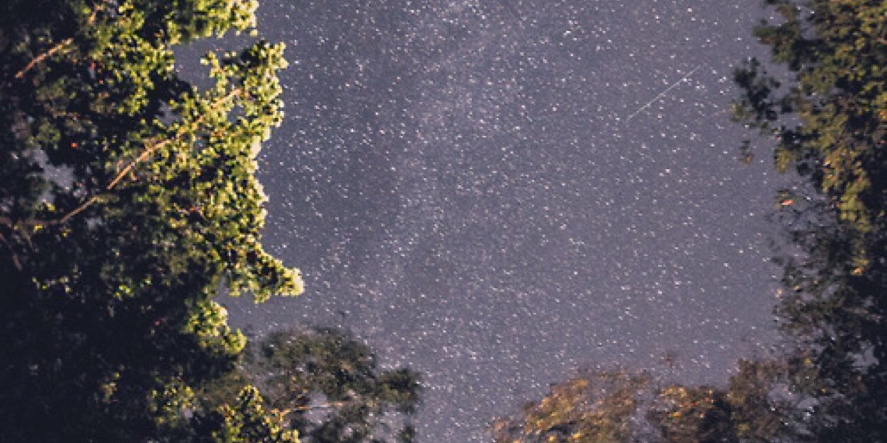 TanzaBr's profile banner image