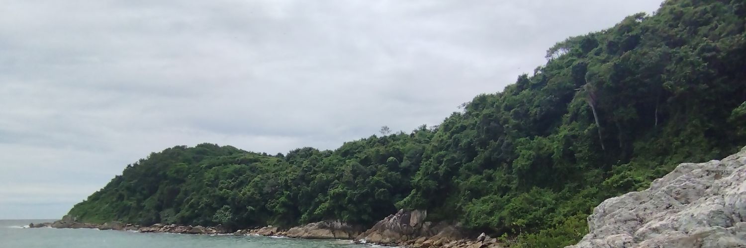 DecimeMeri_'s profile banner image