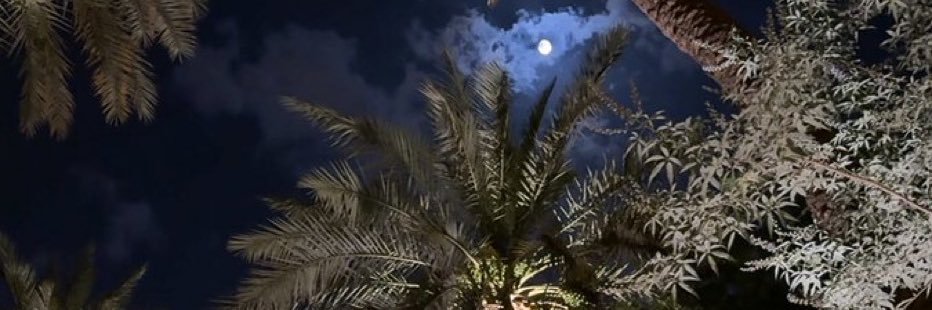 fn_1212's profile banner image