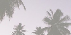 british_false's profile banner image