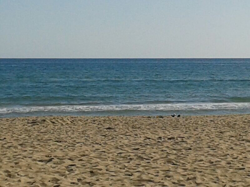 Xavi.ivaX 🎗 banner