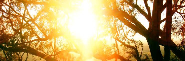 AyodejiNla's profile banner image