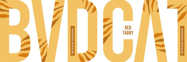 YellowBearSOL's profile banner image