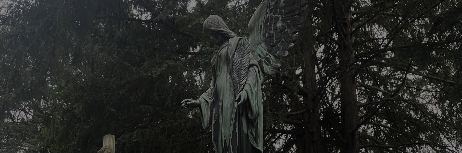 miftarica's profile banner image
