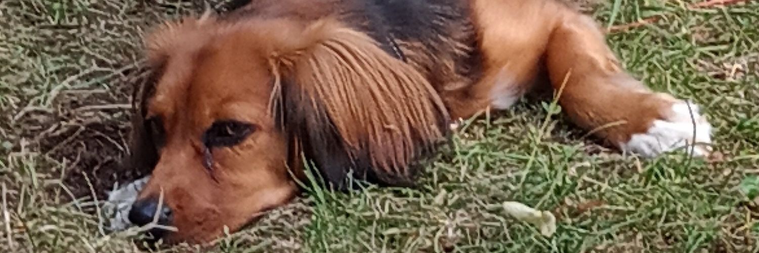 Knarry45's profile banner image