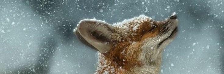 hauser_markus's profile banner image