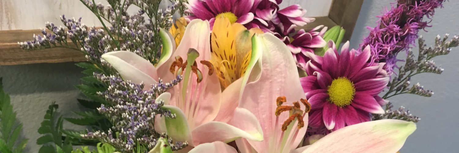 sarastjohn's profile banner image