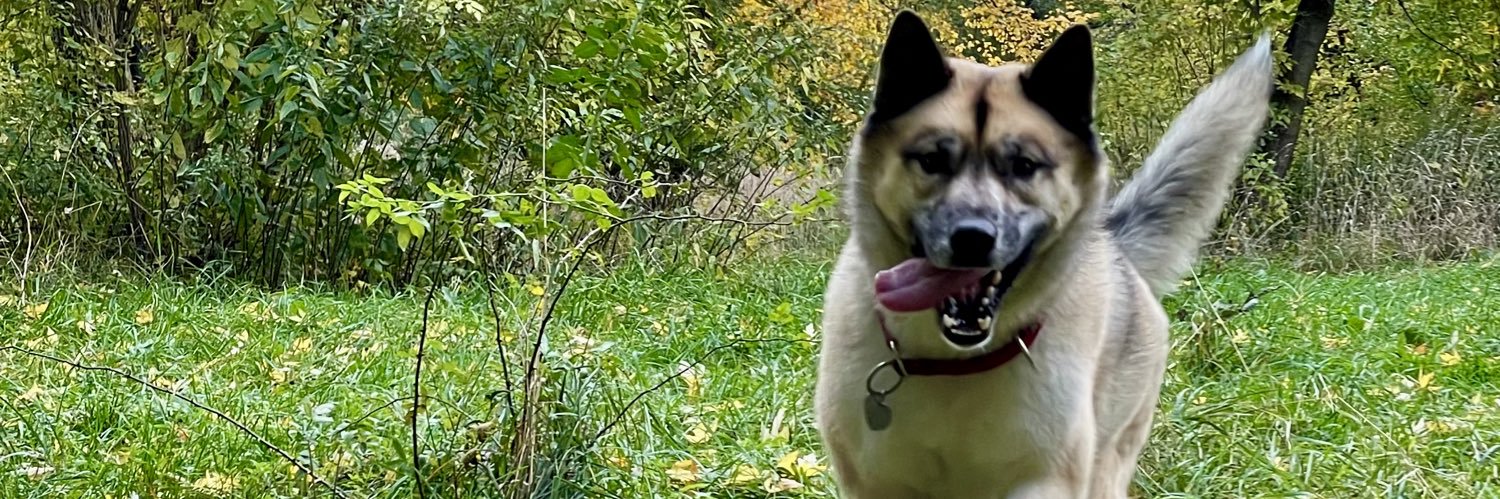 RomanU 🇺🇦w🇪🇺 banner