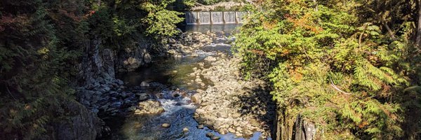 MaytalKowalski Profile Banner