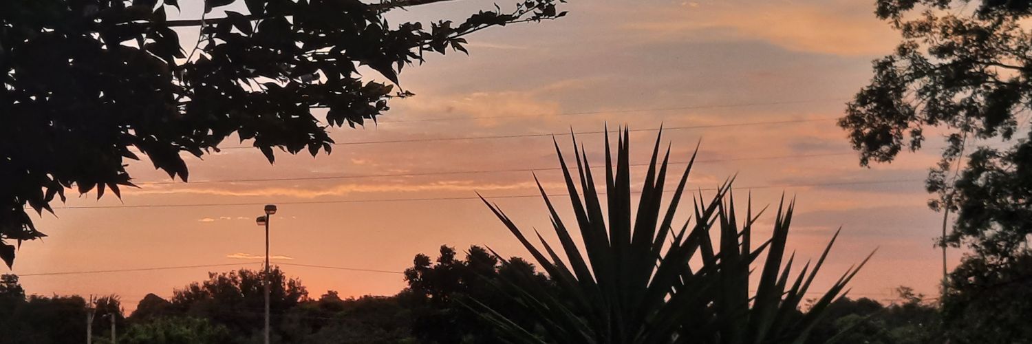 nololatee's profile banner image