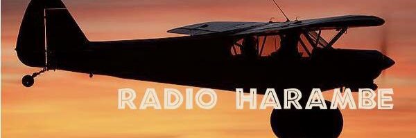 RadioHarambe's profile banner image