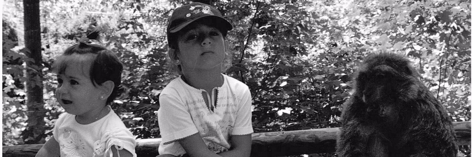 VaneForevar's profile banner image