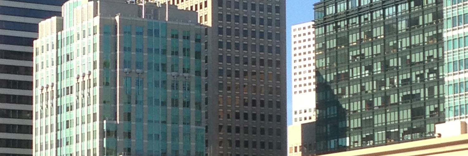 Tamar Bercovici banner